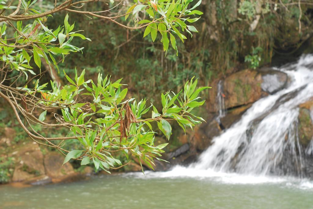 Pousada Estalagem Moeda Real 外观 照片
